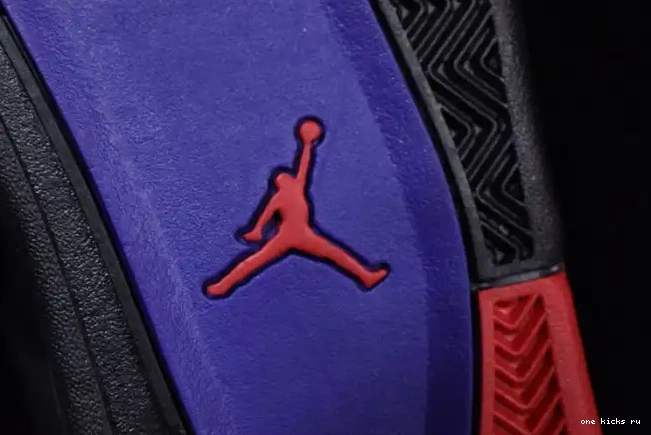 Cheap NRG Raptors